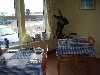 View from breakfast room